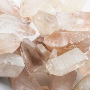 Meet your Posher, Marie